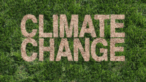 changement climatique
