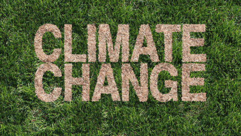 changement climatique